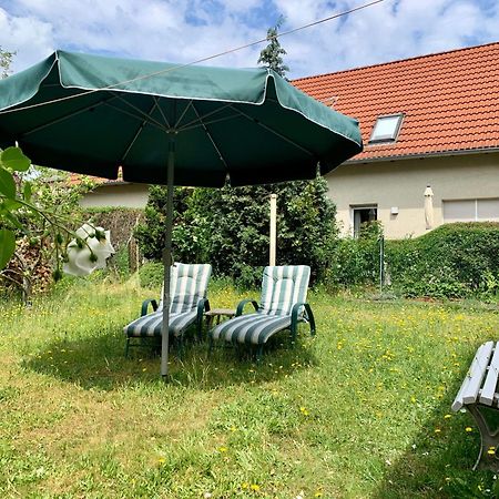 Grosse Ferienwohnung Mit Loggia Und Garten In Cottbus Bagian luar foto